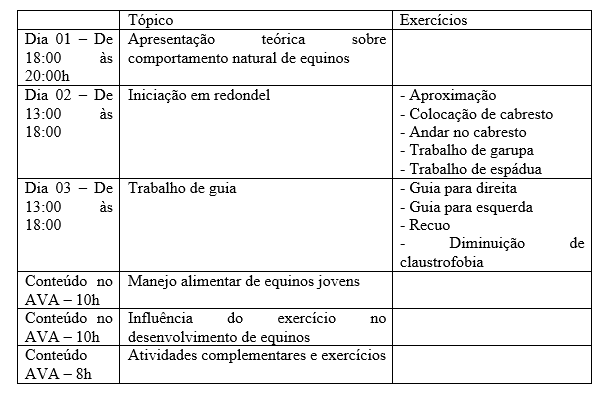 Programação curricular