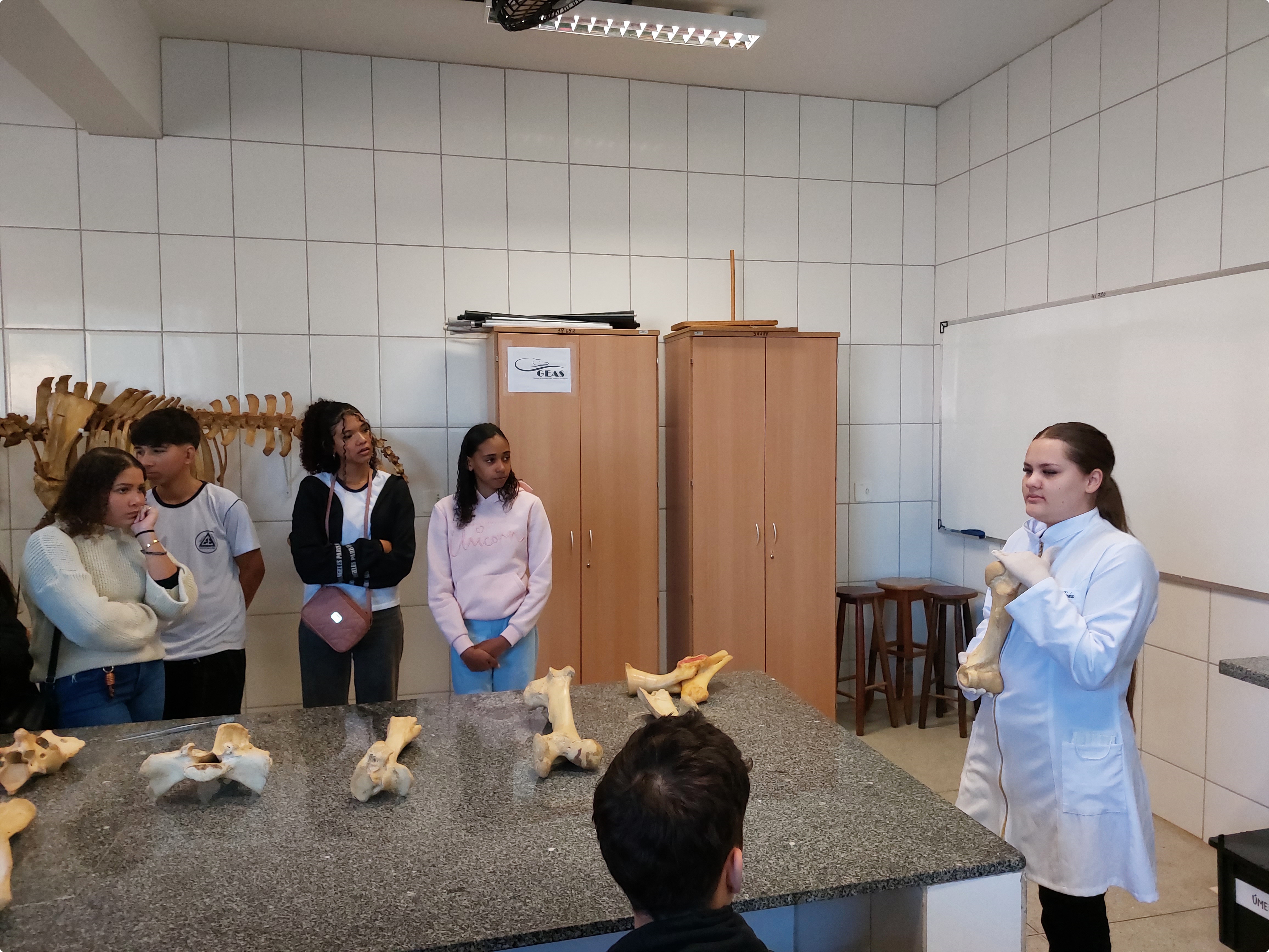 Laboratorio Anatomia Veterinária