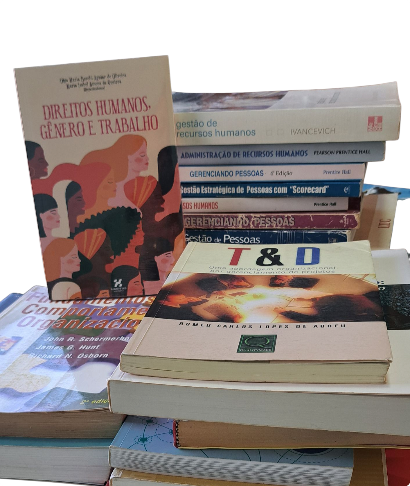 Doação livros para Biblioteca Campus Bambuí