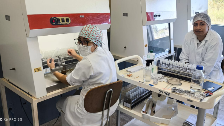 Progama Delfín 2025