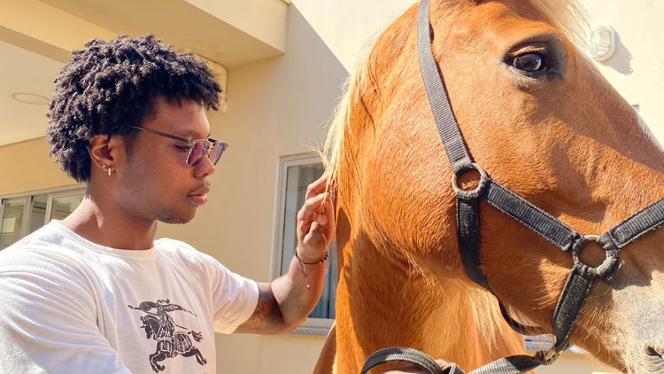 Progama Delfín 2025