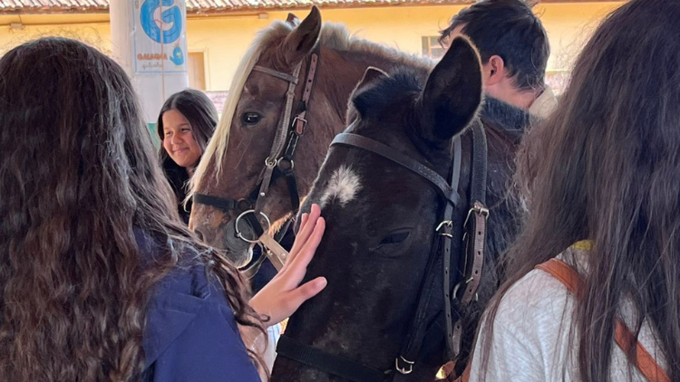 Visita EM Dep Jaime Martins