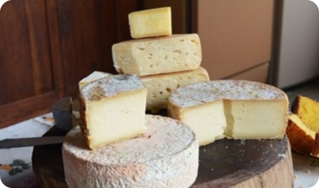 queijo concurso 2025