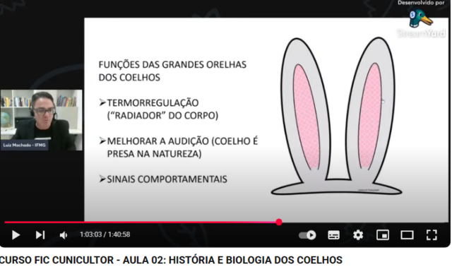 Curso cunicultura destaque