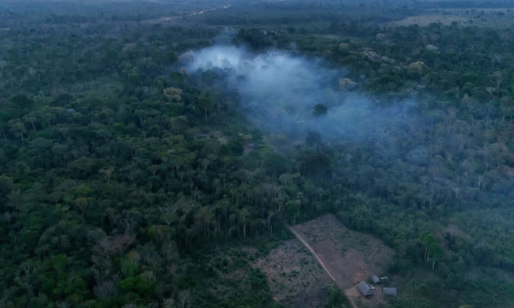 Pesquisa sobre Queimada na Amazônia