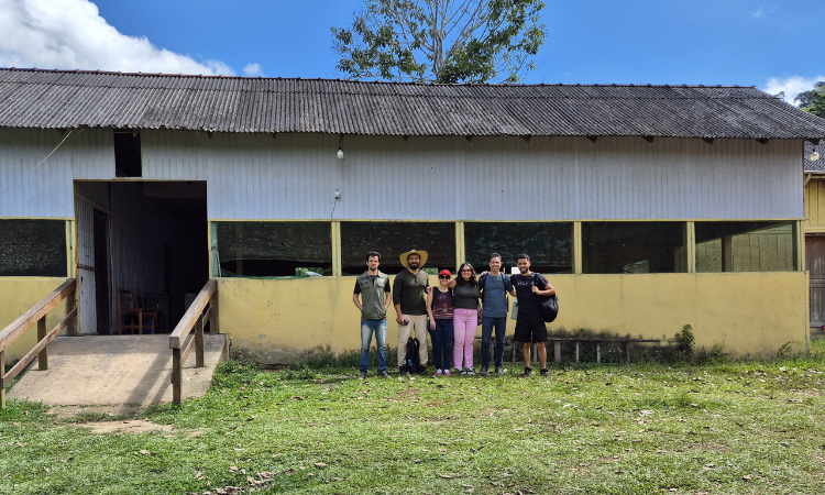 Pesquisa sobre Queimada na Amazônia
