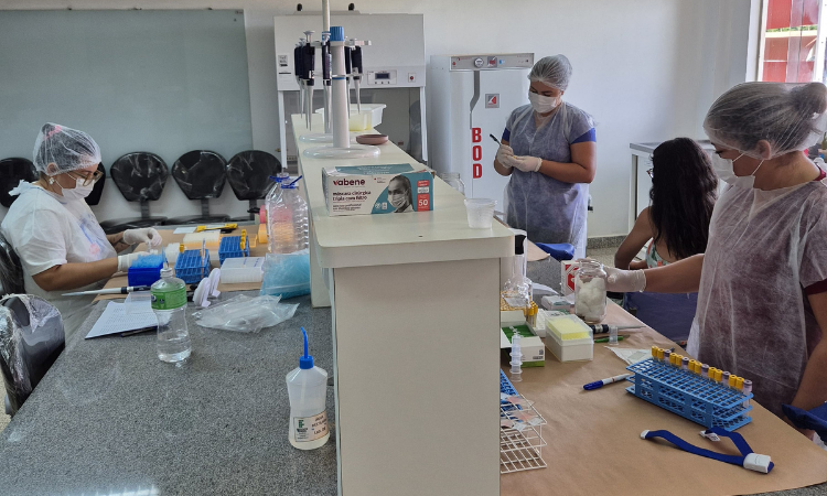 Pesquisa sobre Queimada na Amazônia