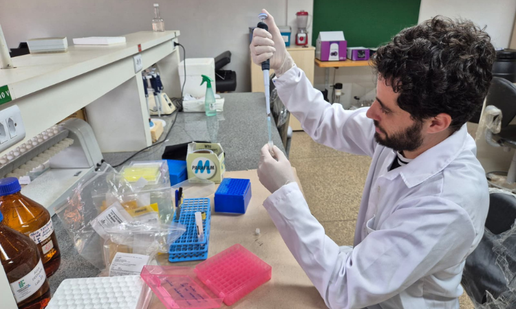 Pesquisa sobre Queimada na Amazônia