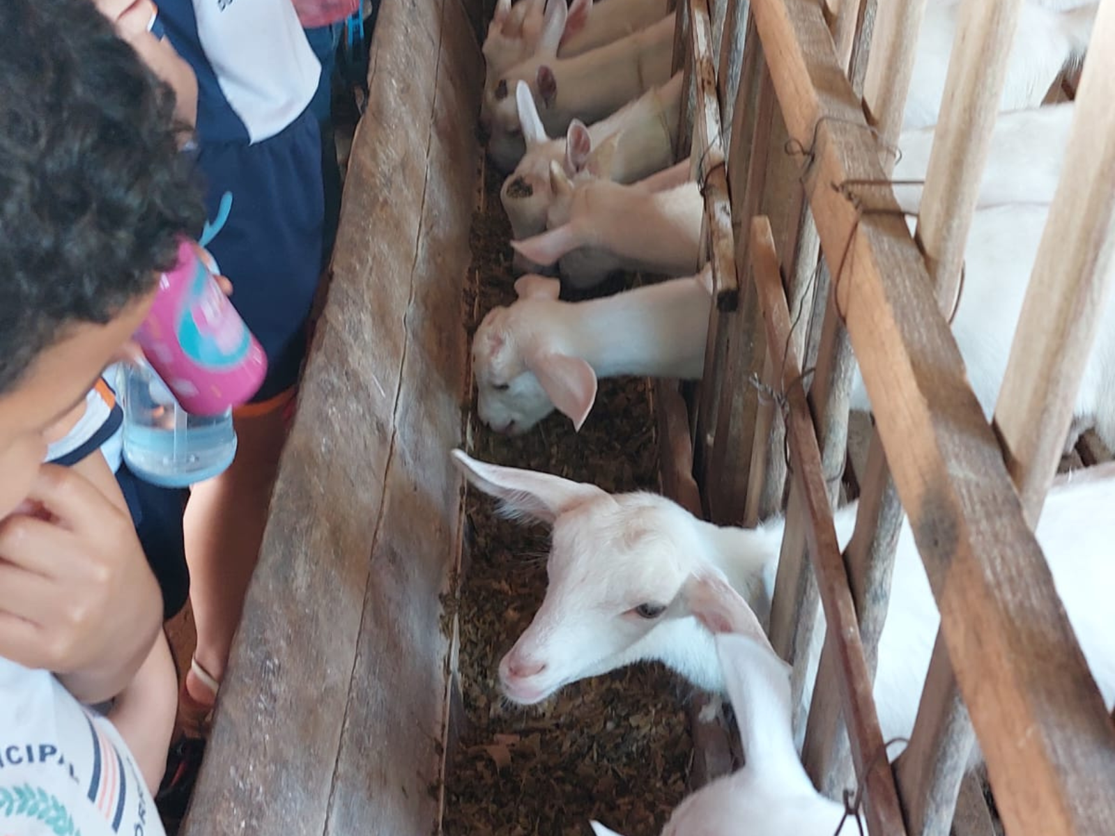 Visita Guiada APAE e EM Dulcinea Gomes Torres