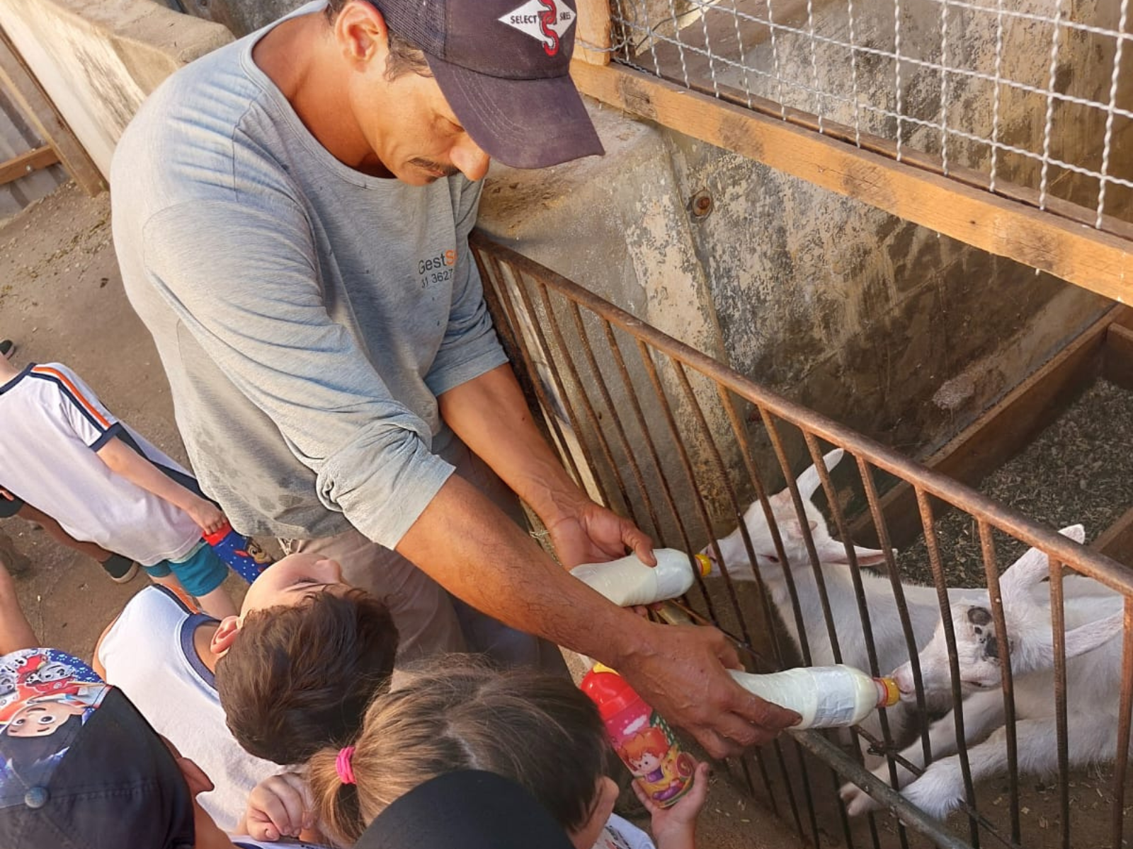 Visita Guiada APAE e EM Dulcinea Gomes Torres