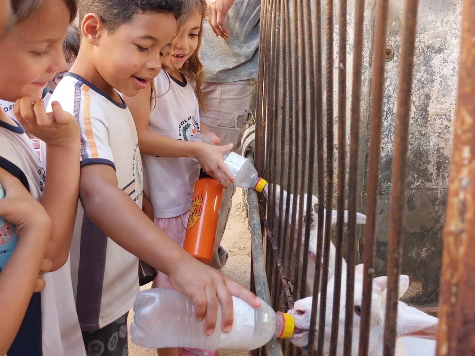 Visita Guiada APAE e EM Dulcinea Gomes Torres