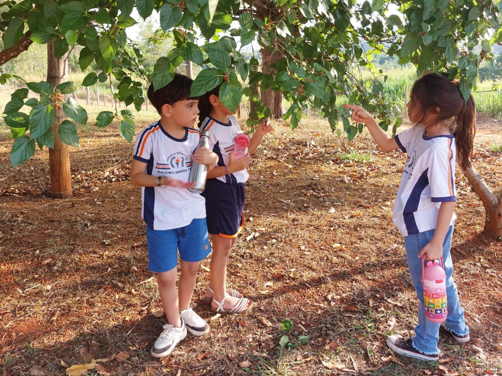 Visita Guiada APAE e EM Dulcinea Gomes Torres