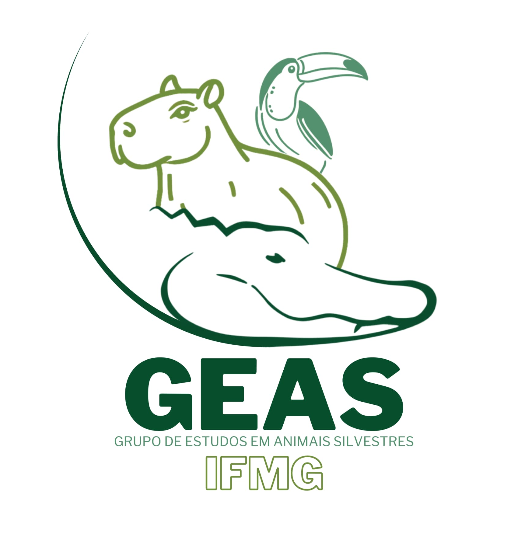 Logo GEAS 2025