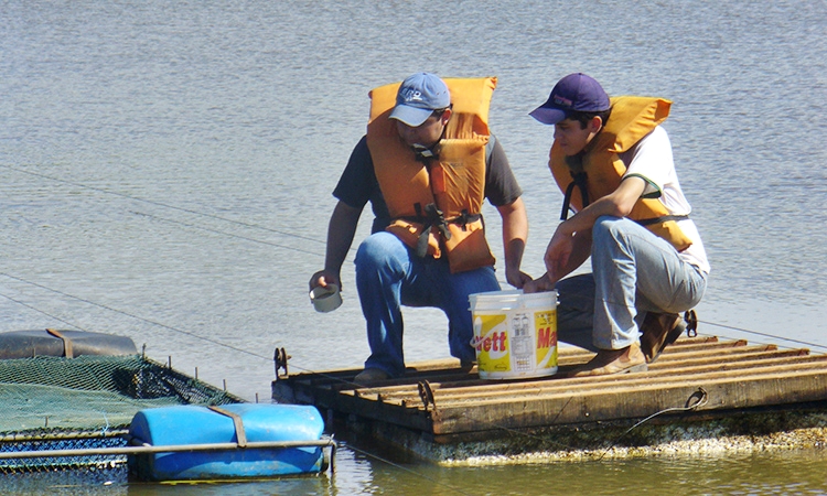 Vestibular IFMG 20171 Conhea O Curso Tcnico Em Agropecuria Do