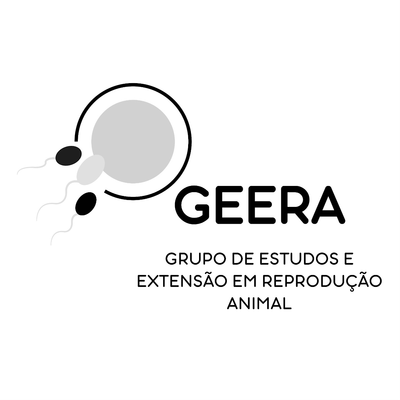 GEERA