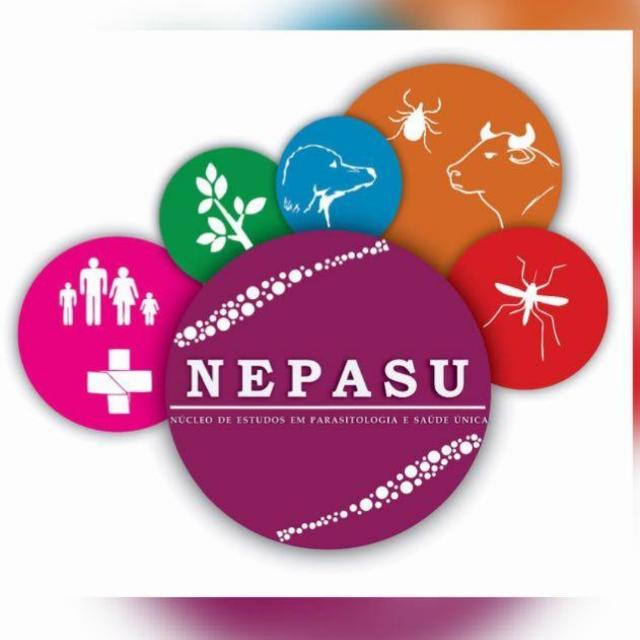 LOGO NEPASU