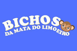 Bichos da mata limoeiro