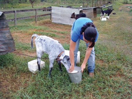 IFMG Bambui Zootecnia 01