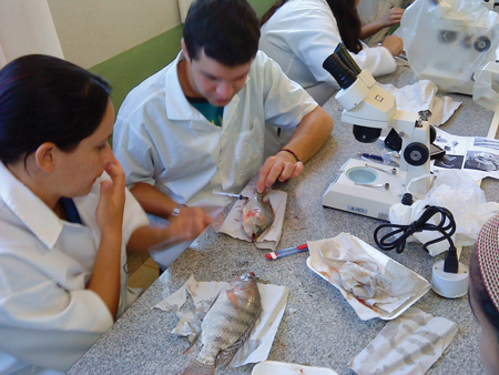 IFMG Bambui Zootecnia 02